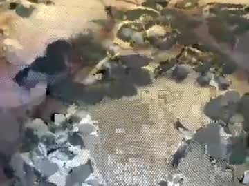 Kkbb4 video